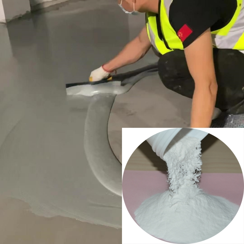 Ethylene Vinyl Acetate Acrylic Acid Copolymer Powder Used for Waterproof