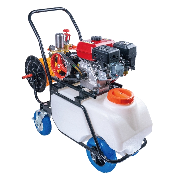 New Type Gasoline Engine Sprayer Power Pesticide Sprayer with Ce Machine (TF-100A)