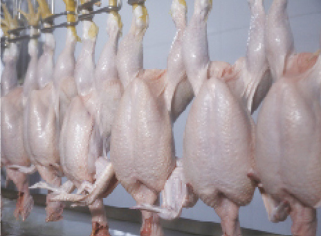 Автоматическое оборудование для убоя птицы Halal