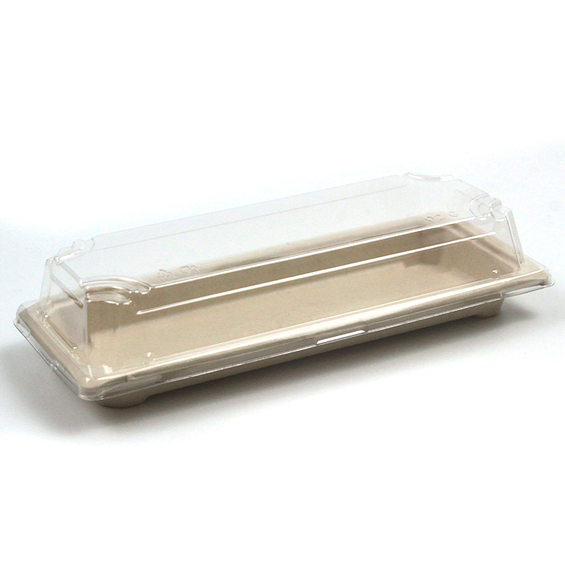 Eco-Friendly Disposable Sugarcane Food Container Bagasse Sushi Plate
