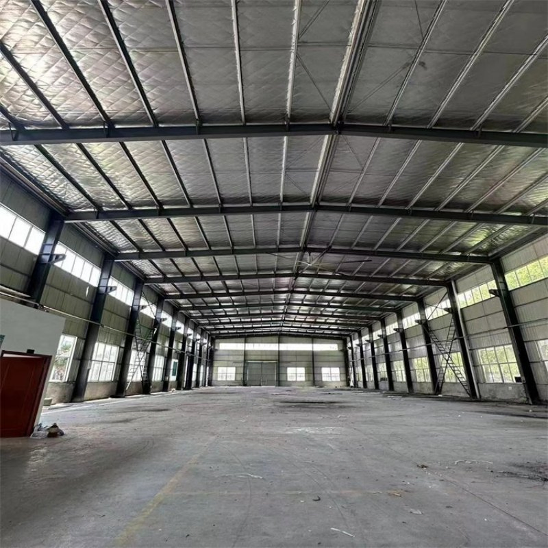 Customized Prefab Steel Structure Warehouse/Workshop Prefab Steel Building for Sale