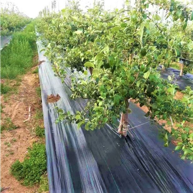 Water Permeable Weed Control Ground Cover