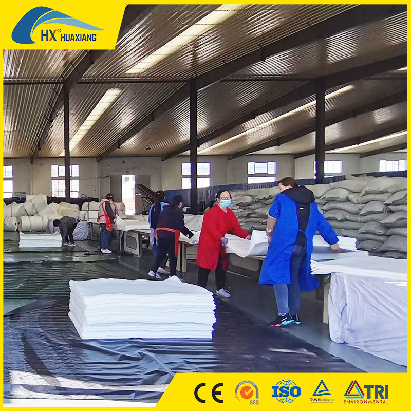 Polyester/PP Woven Geotextiles Fabric Geobag Eco-Friendly Popular Polyester PP PE