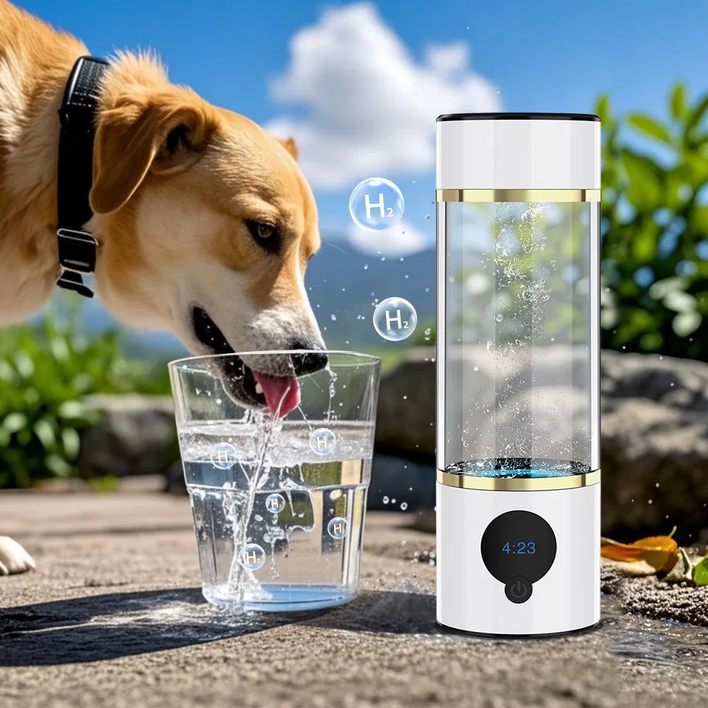 Suyzeko High Ppb Spe Pem Technology Hydrogen Rich Water Bottle