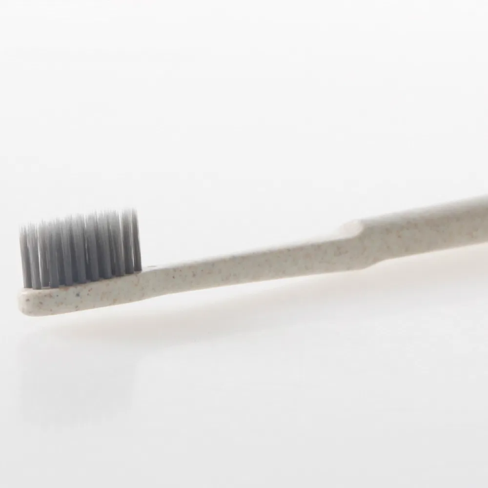 Green Biodegradable Toothbrush Perfect with Hotel Amenities for Hotel Guest Rooms