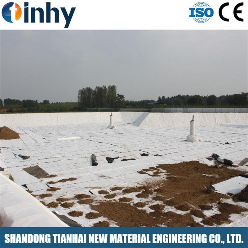5000G/M2 Bentonite Waterproof Blanket/Gcl/Sodium Bentonite Gcl