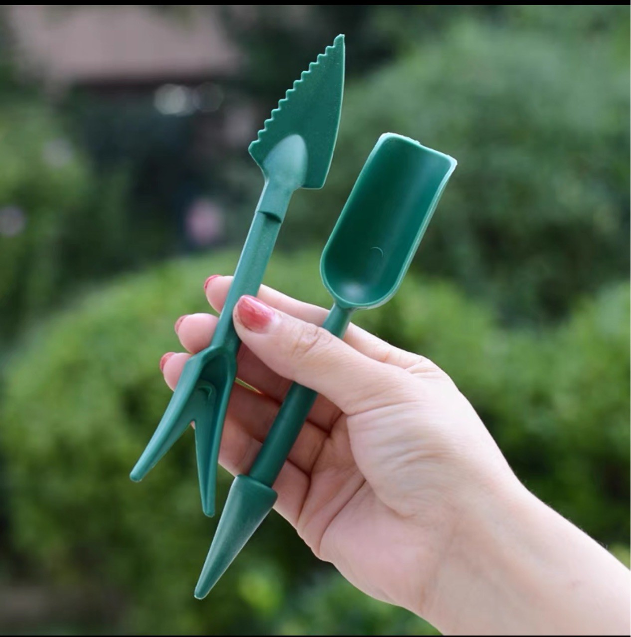 Саженцы садовые 2 штуки