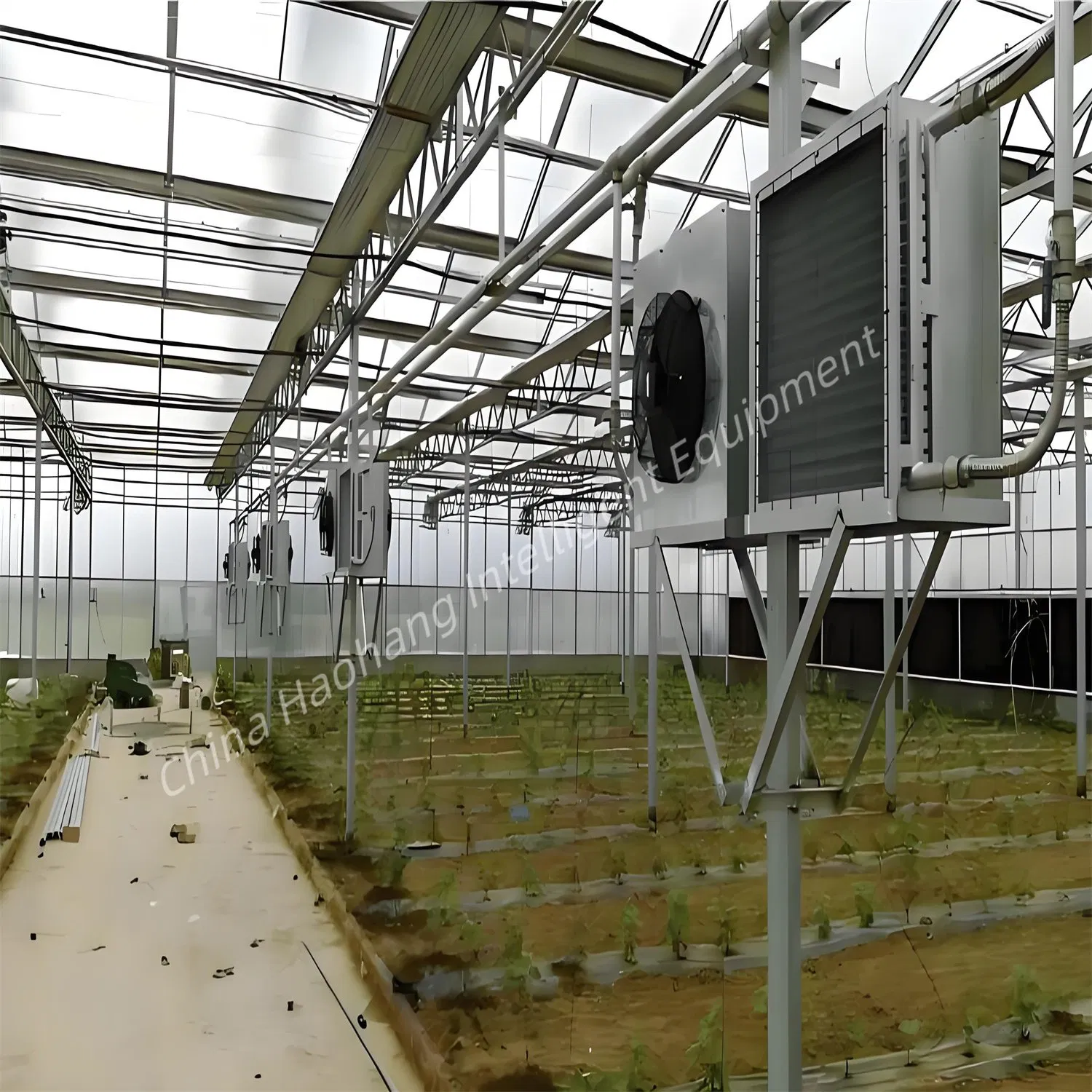 Cheap Tomato Vegetable Greenhouse