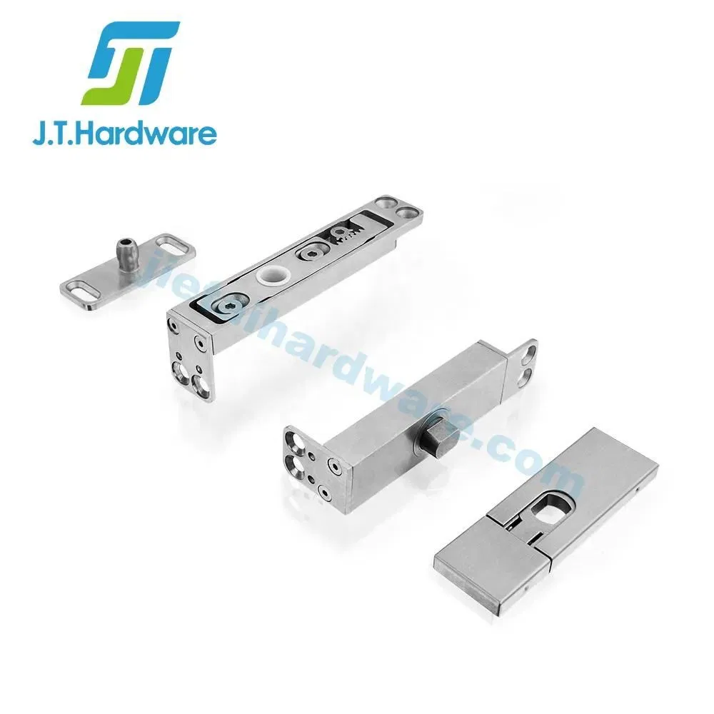 Stainless Steel Adjustable Conceal Side Axis Pivot Hinge Floor Spring for Glass Door
