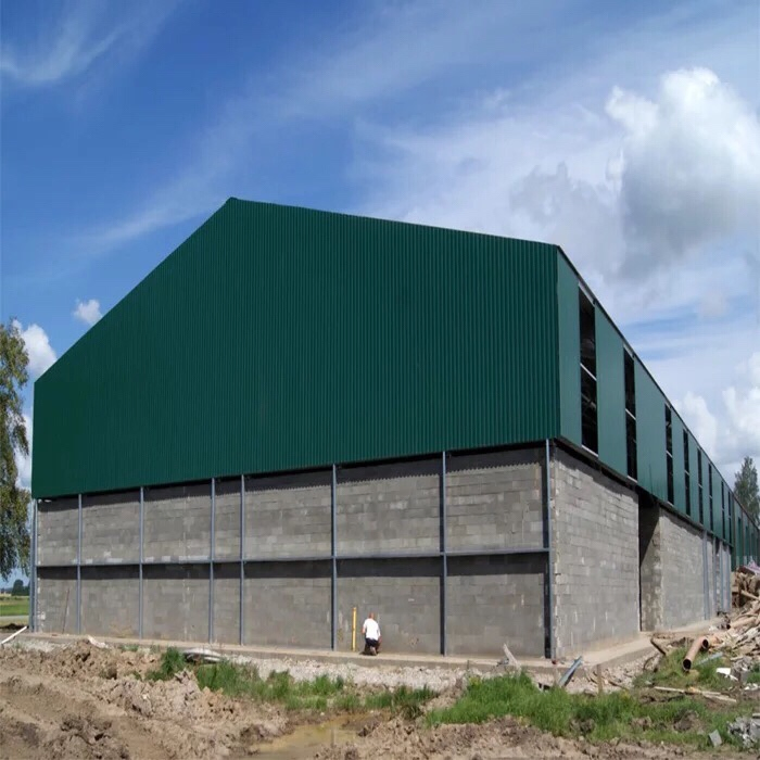 China Prefabricated Steel Structure Prefab Pig Farm House Construction