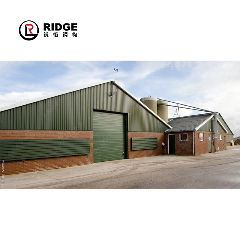 Steel Structure Prefab Chicken Cow House Design Shed Poultry Farm