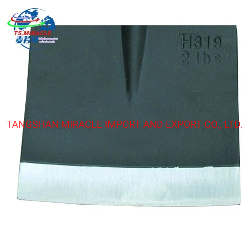 High Quality Agriculture Garden Hoe