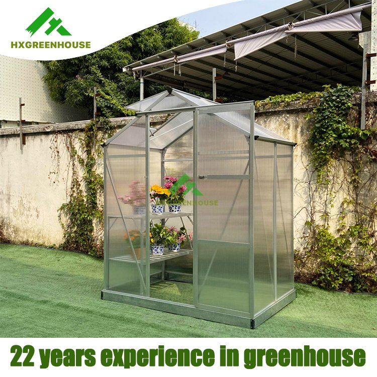 Polycarbonate Green House Smart Complete Sun Structure Small Portable Modern Greenhouse Garden