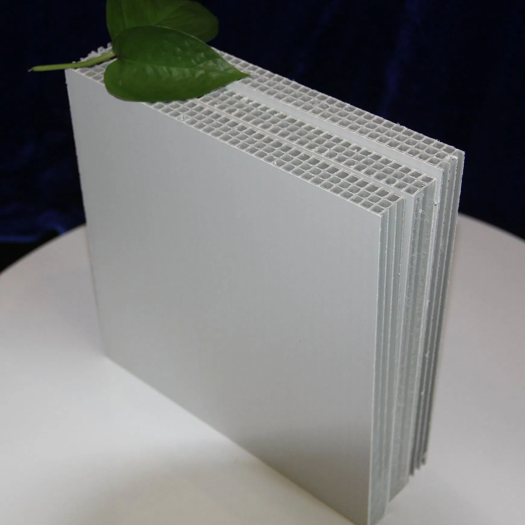 Construction Materials PP Hollow Wall Formwork for Concrete