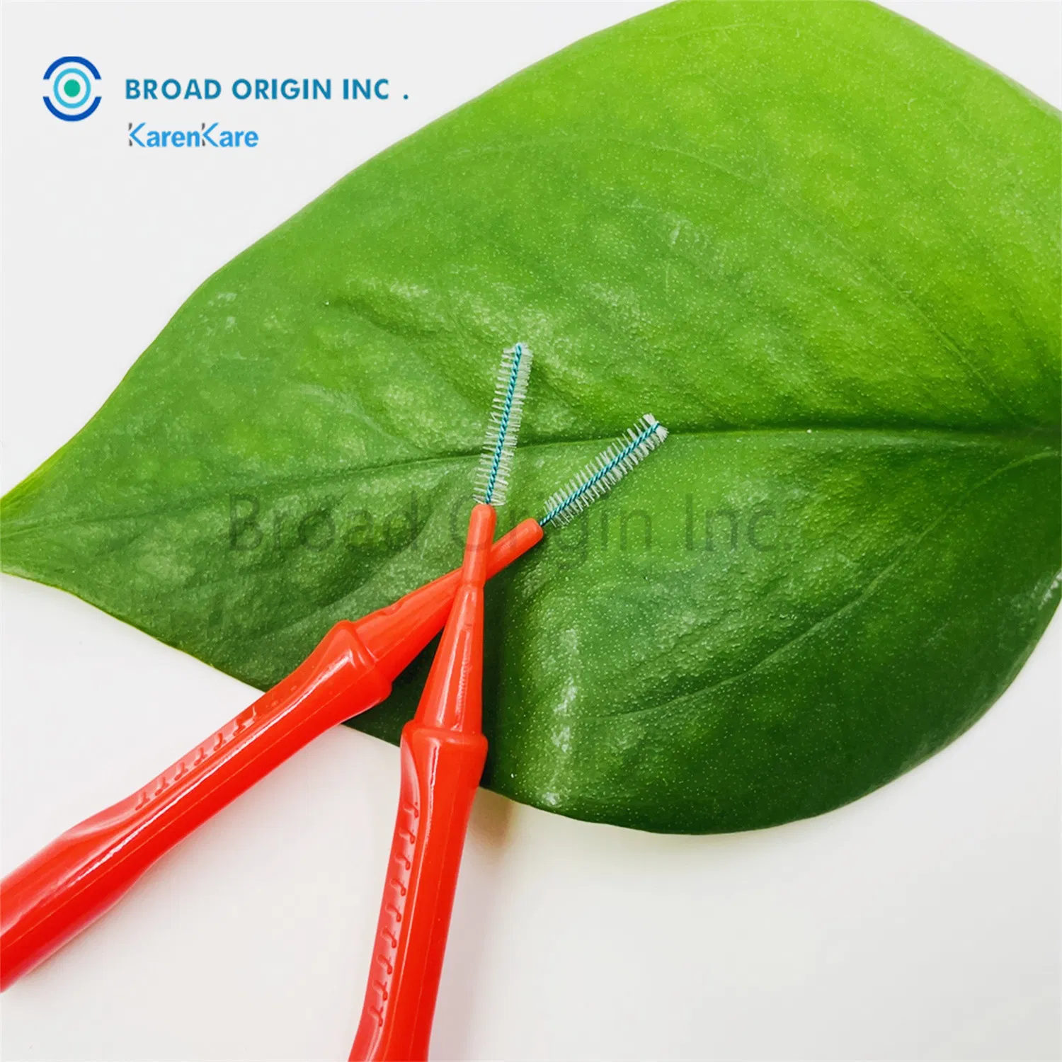 CE Certificate Approved I Type Interdental Brushes Clean The Interproximal Surfaces of Teeth and Implants