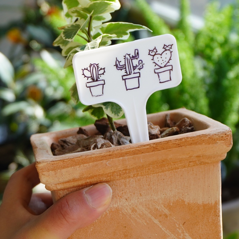 UV Resistant Plastic Plant Labels for Long Lasting Garden Use