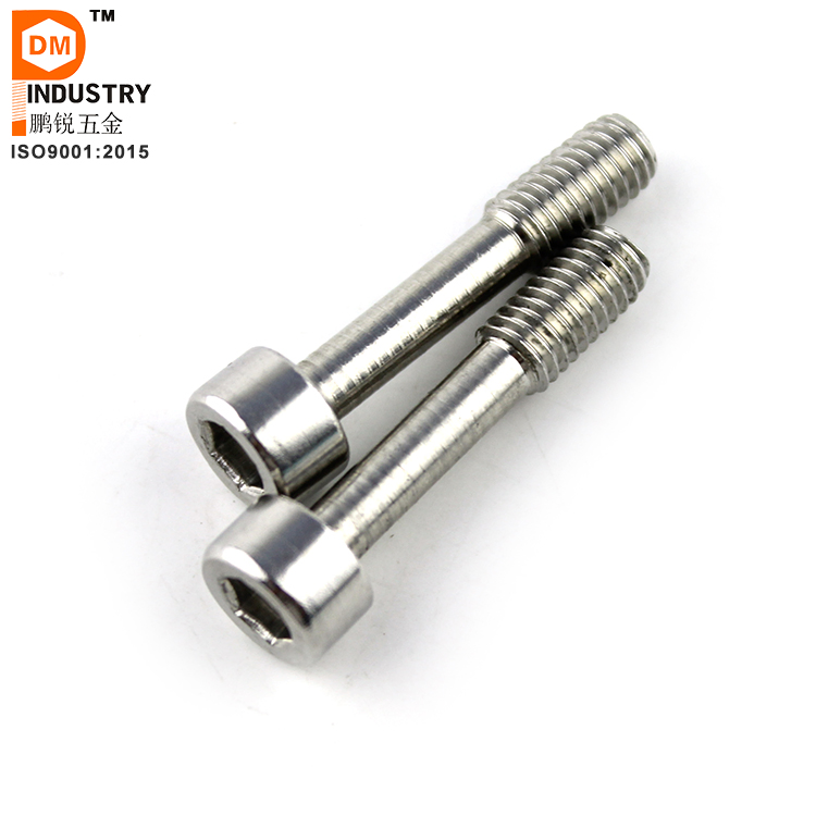 Stainless Steel Hex Socket Cap Head Captive Screw
