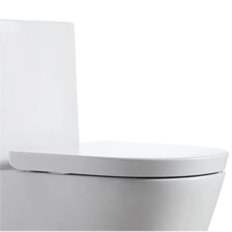 Nice Design Sanitary Ware Ceramic One Piece Toilet Set with Colored Line