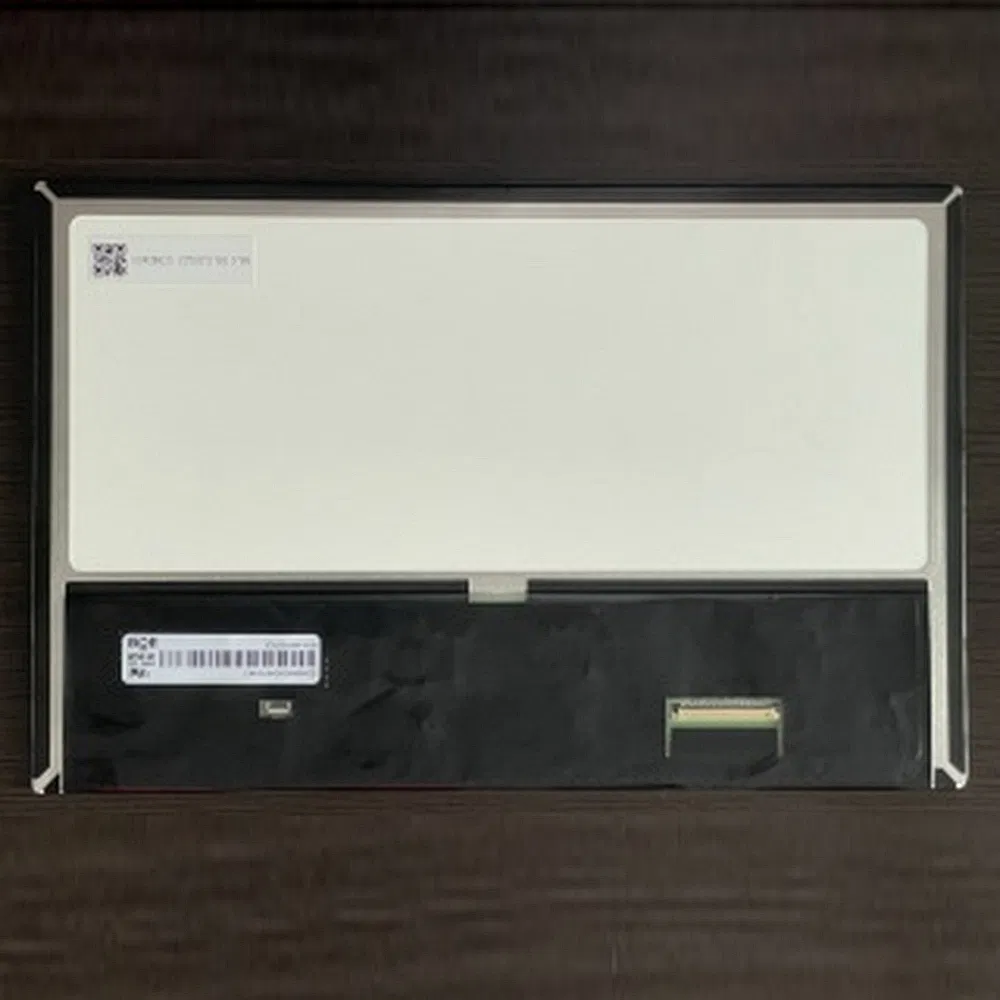 EV101wxm-N10 IPS TFT LCD Display Screen Panel Module for Human Machine Interface