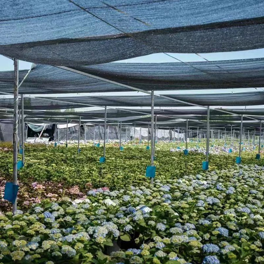 Reliable Shade Net Made of Plastic with Tied Belay for Maximum Coverage