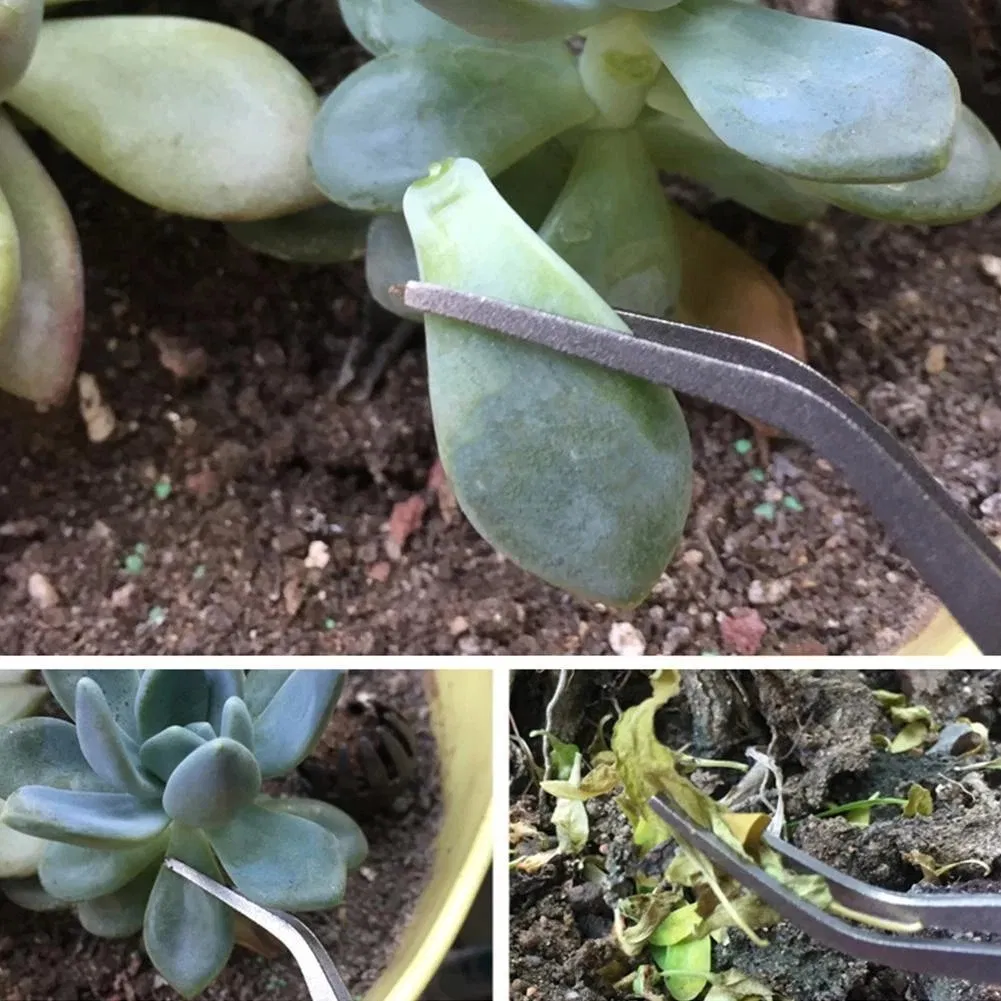 Bonsai Rake Gardening Tools 2 in 1 Steel Succulent Bonsai Spatula portable Handheld Loosen Soil Root Rake Garden Tools