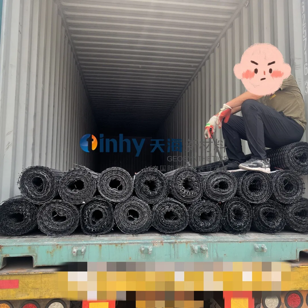 20/20kN 30/30kN Biaxial Plastic Geo Grid for Construct Mse Wall