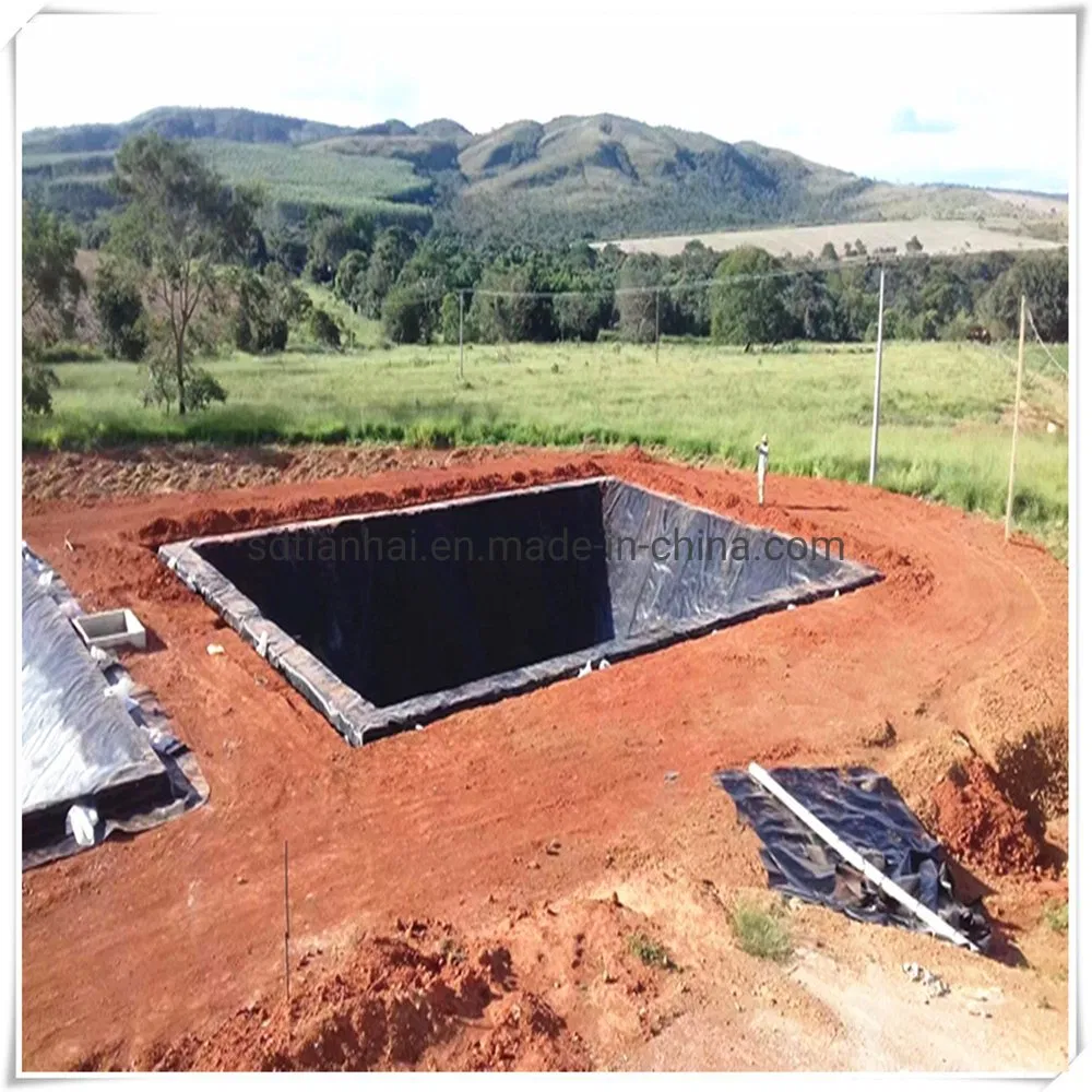 0.5mm HDPE Liner/Pond Liner for Shrimp Farming