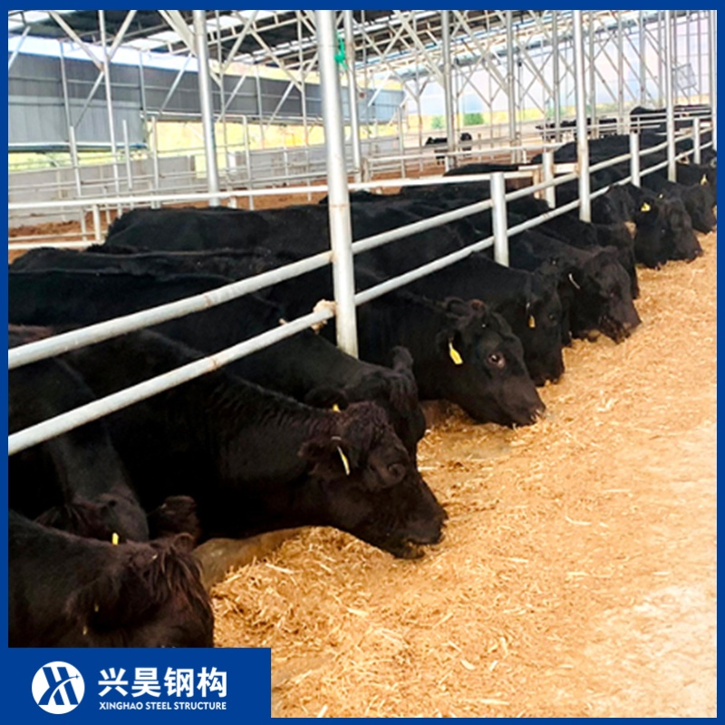 Continuous High-Rigidity Steel Truss Assembly Prefab Metal Storage Farming Equipment Steel Structure Sheep/Goat/Pig/Hog/Cattle/Cow/Poultry House/Shed