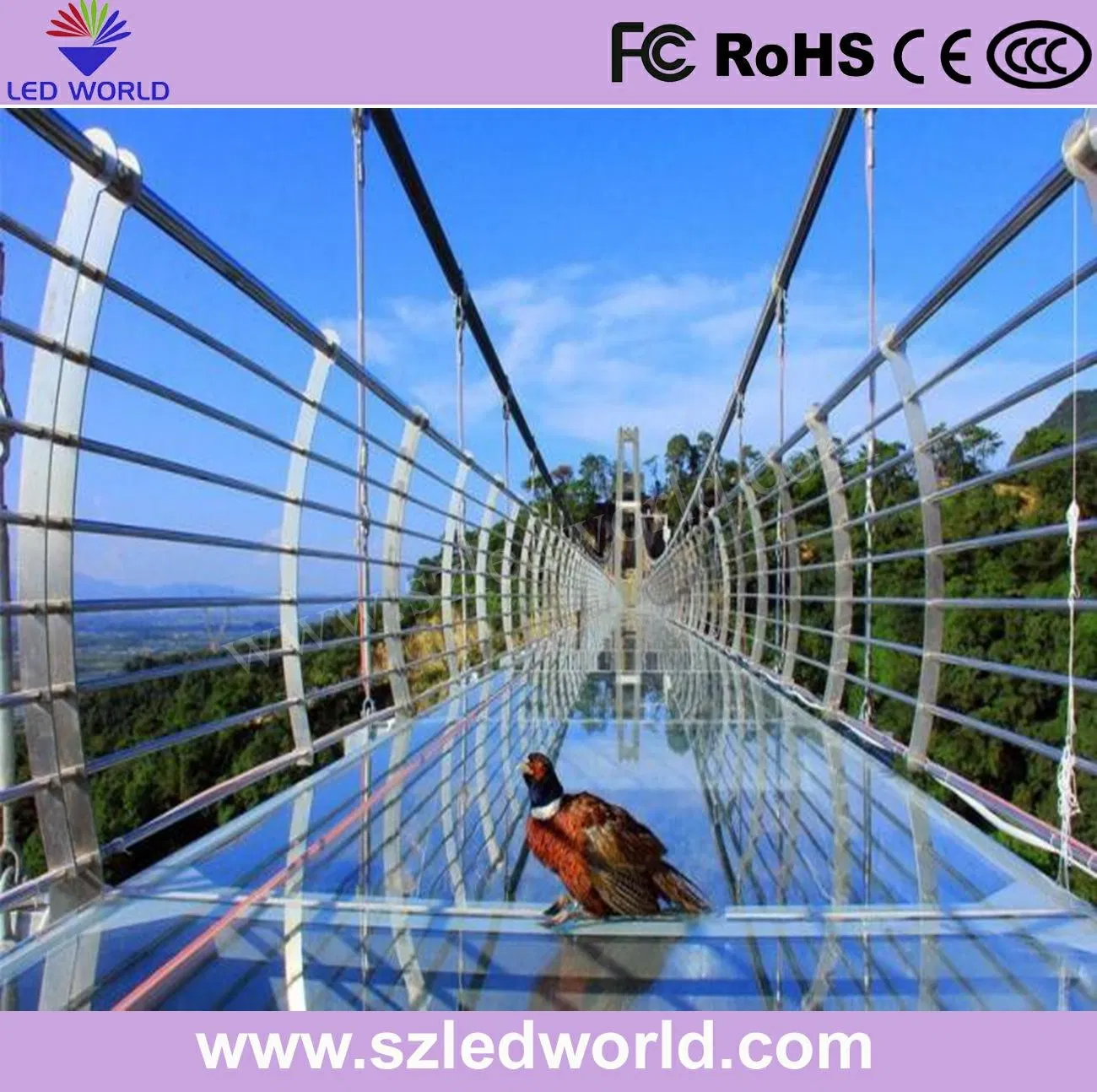 People Create Interactive The Illusion of Broken Glass Bridges Floor LED Display Screen