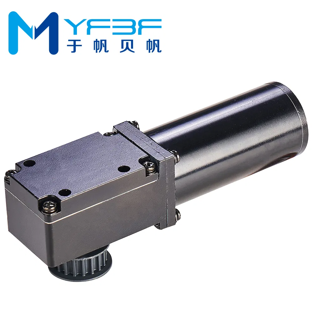High-Performance Direct Drive Mini Motor Automatic Sliding Door Motor