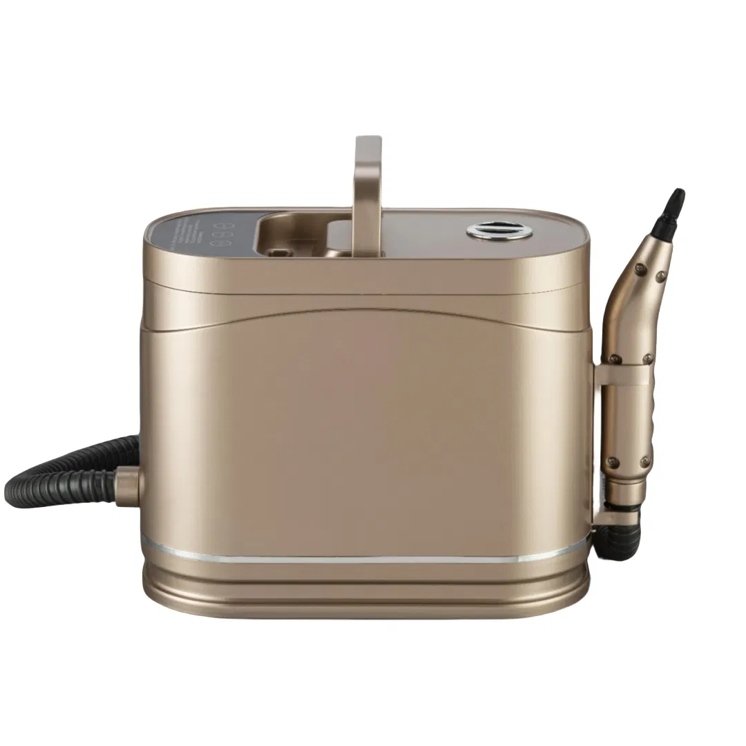 2025 new design 1200ml water tank Household Multi-function Steam Cleaner with Blue Light Anti-bacterial Function