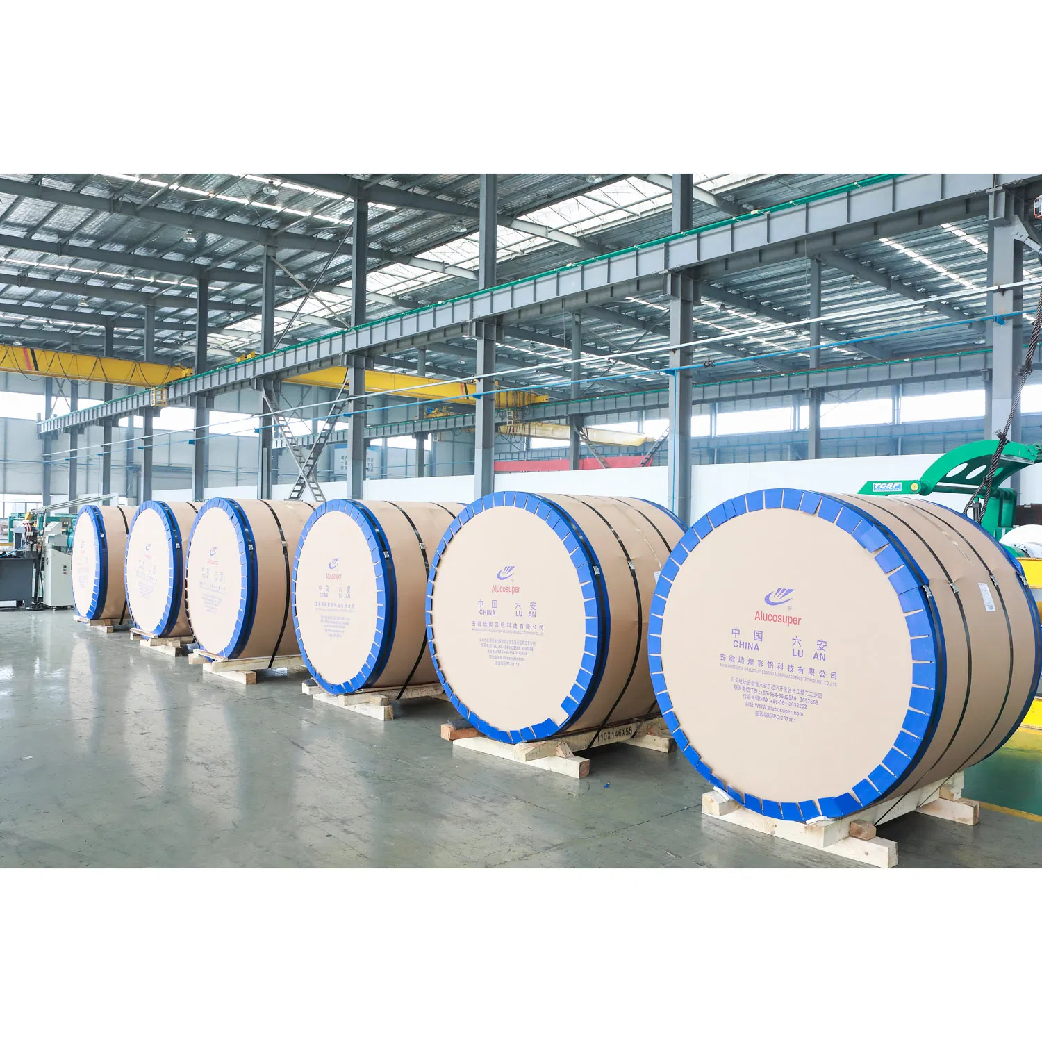 AA1050 Prepainted Color Coating Aluminum Coil for Metal Ceiling