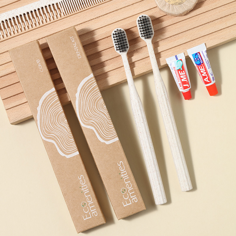 Eco-Friendly Travel Dental Kit Disposable Hotel Toothbrush Set