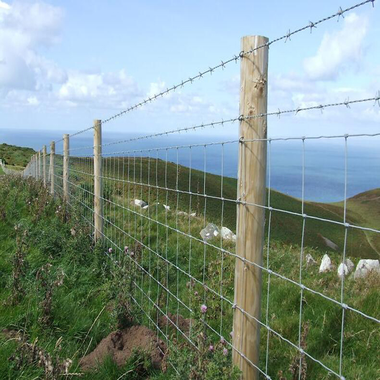 Farm Filed Fence in Thailand Grassland Farm Cattle Goat Sheep Farm