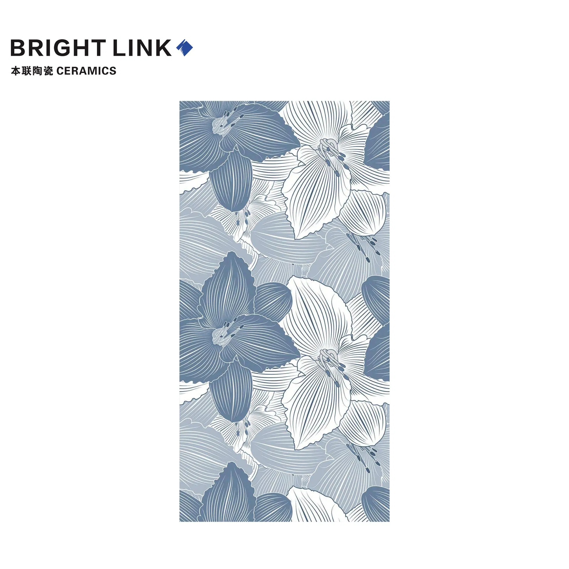 600X1200mm New Bathroom Kitchen Home Decoration Porcelain Floor Wall Tile