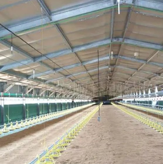 China Factory Manufacturing Steel Structure Poultry Houses for Poultry Farm