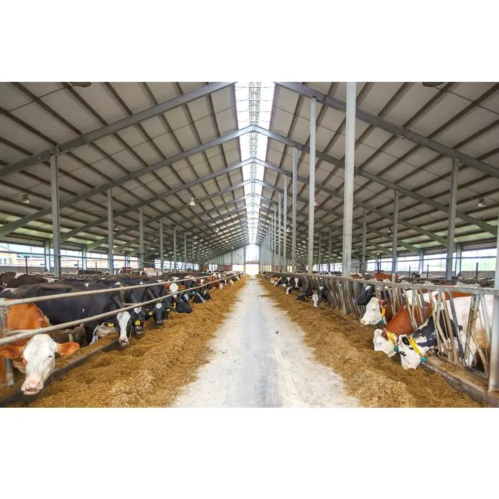 Poultry Shed Prefab Barn Steel Structures Farm Building Dairy Cow Cubicles