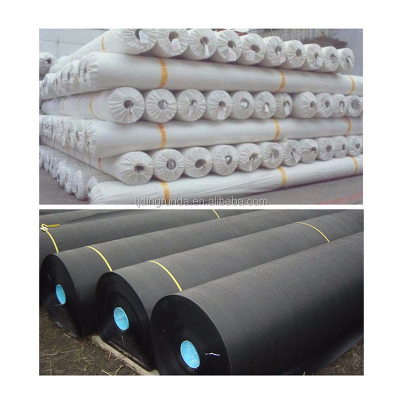 Factory Price HDPE Geo Membrane Liner 0.5mm 1mm 2mm Thickness Geomembrane for Dam Fish Farm Tank Pool Pond Use