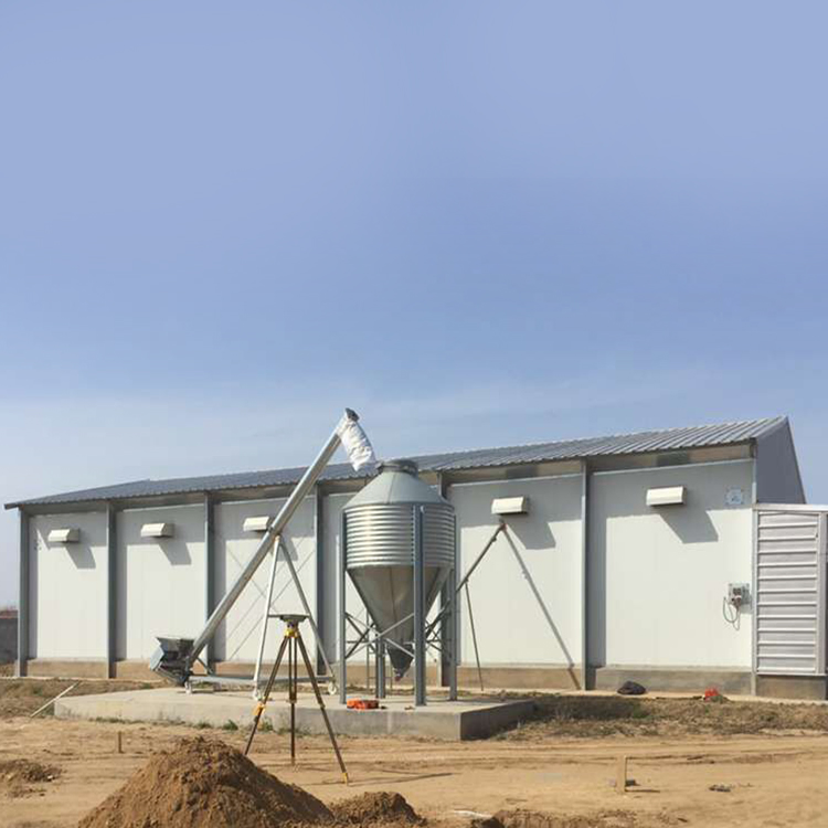 Light Steel Structure Frame Prefabricated Chicken House Coop Poultry Shed Brolier Farm House