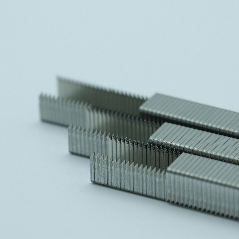 Factory Wholesale 20ga Saw Point A11 Upholstery Staples in 3/8" Length