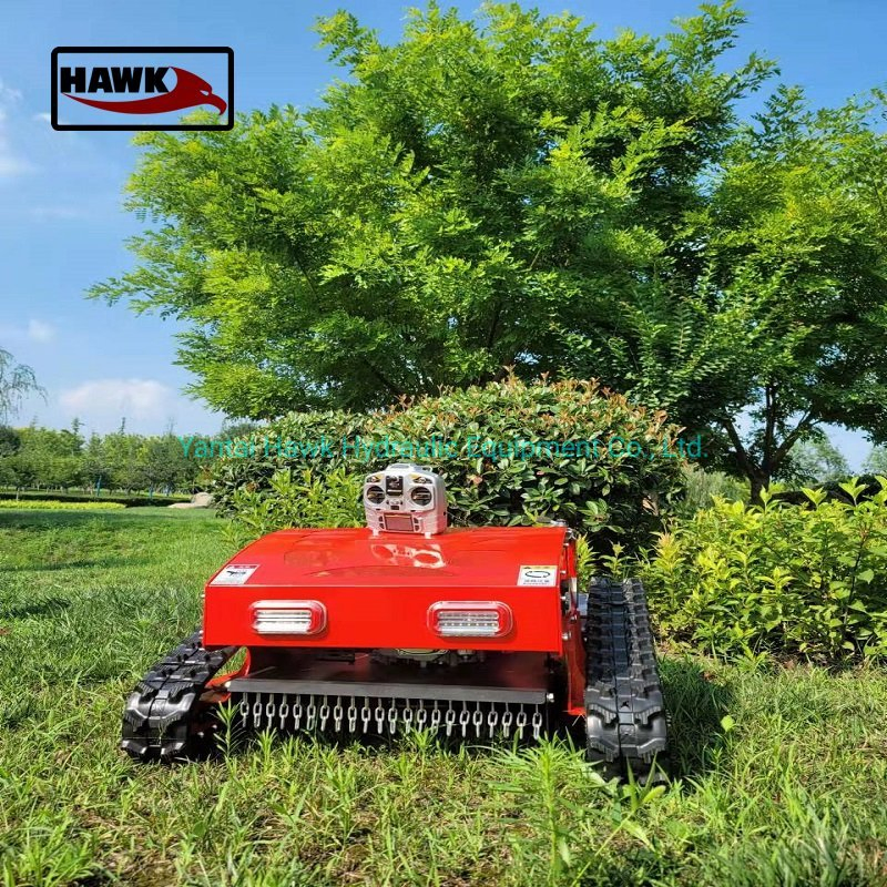 Lawn Mower Lawn Mower Price Gasoline Petrol Crawler Grass Cutting RC Robot