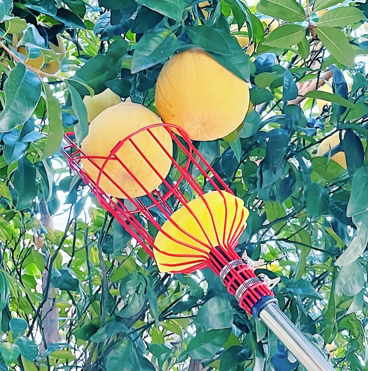Replacement Fruit Picking Basket for Manual Garden Tools