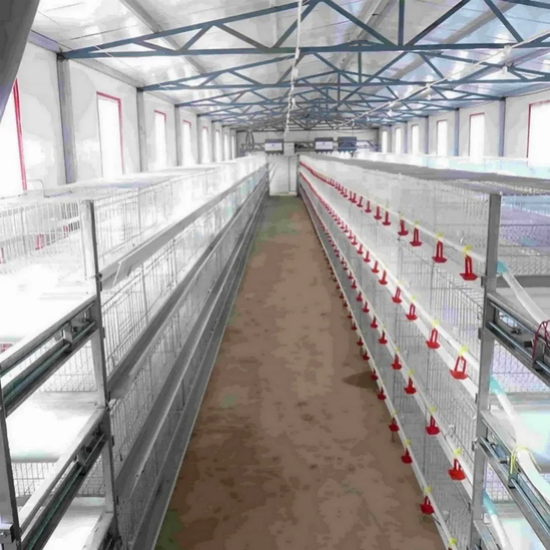 Layer Farm Chicken Cage with Water Pressure Tank
