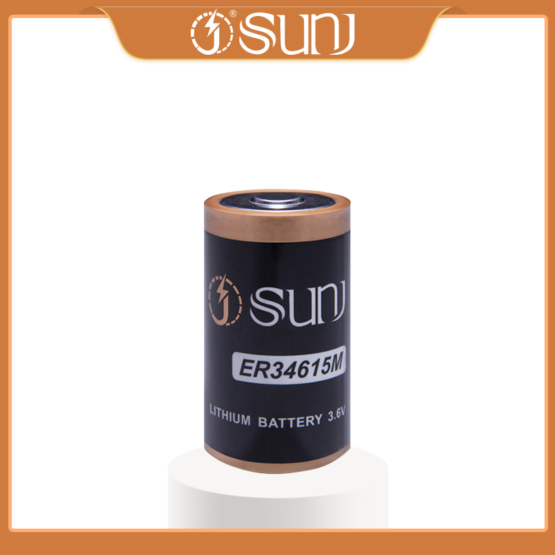 Meter Battery High Pulse Cylindrical 3.6V Cell Er34615m Lithium Battery Power Supply