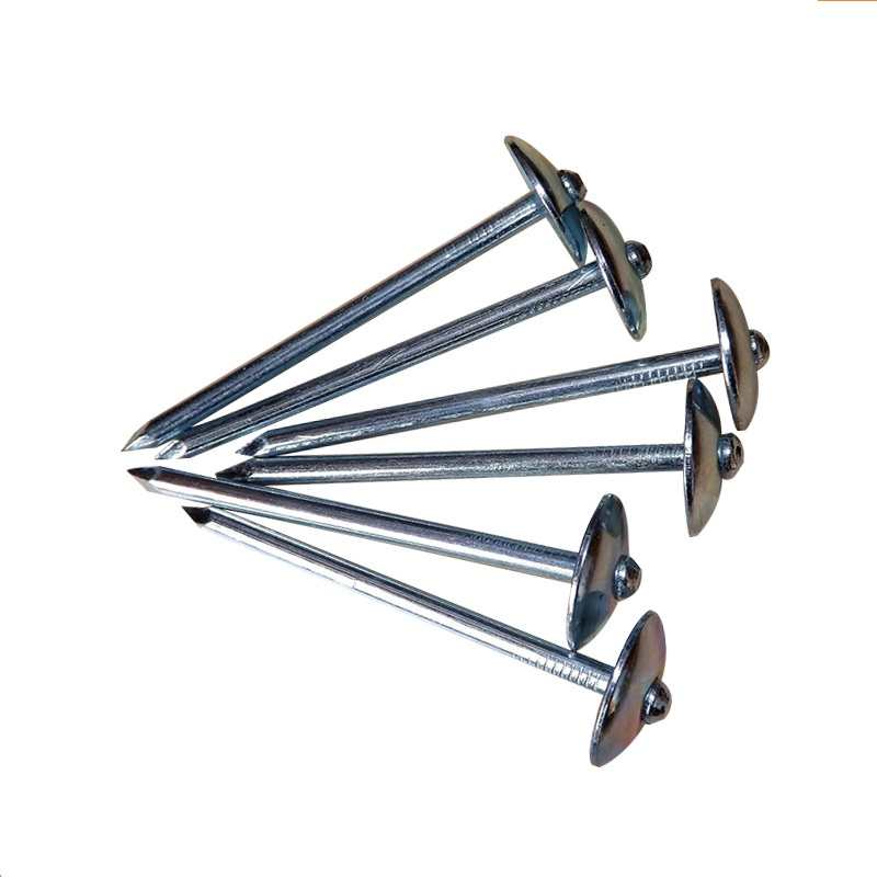 Hot Sale Galvanized Head Umbrella Roofing Nail for Building