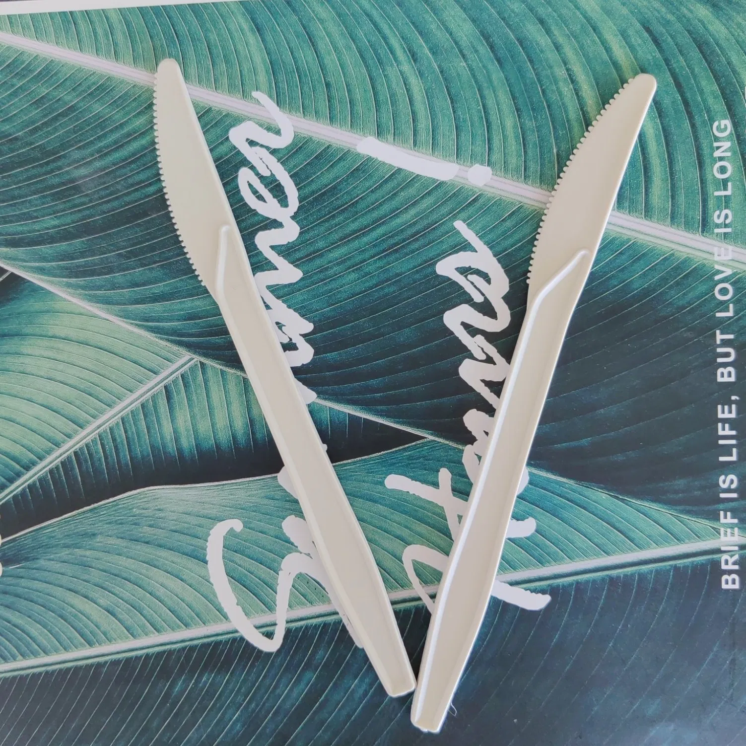 Hot Sell Biodegradable Travel Knife Fork Spoon Cutlery Kit Set Disposable Tableware