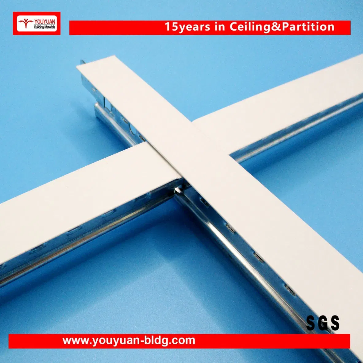 Iron Suspended Ceiling Price with T Grid Installation