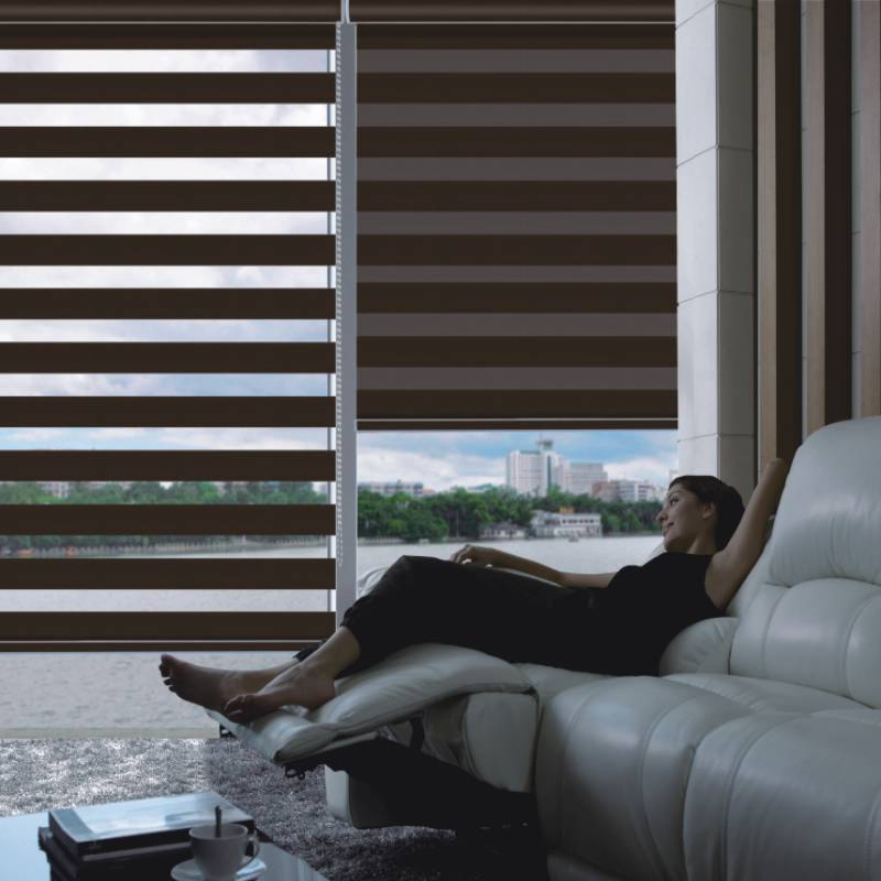 OEM & ODM Fabric Zebra Blinds Window Curtain