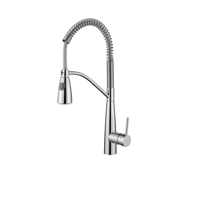 Brass Kitchen Faucet with Stainless Steel Spring with Sprayer Single Handle