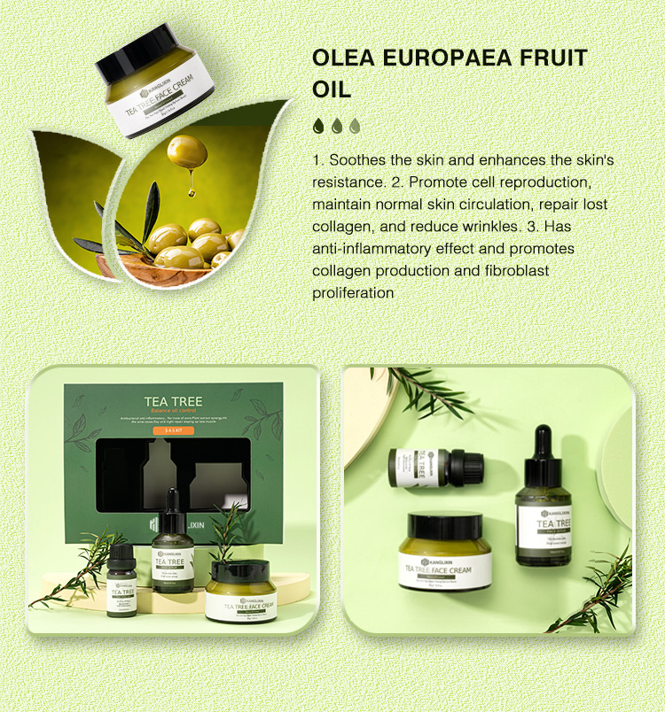 Wholesale Price High Quality Facial Tea Tree Oil Serum Face Cream Skin Care Set